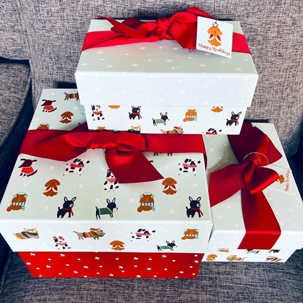 NWT 3-pc Blue Red Christmas Dogs Gift Boxes Set